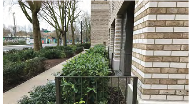 An image showing planted frontages outside a residential block. A pavement then separates this from a planted verge with trees. 
