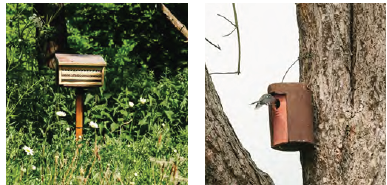 Left: An image of a wooden bug hotel surrounded by trees. Right: An image of a bird box attached to a tree. A bird is perched on the box.