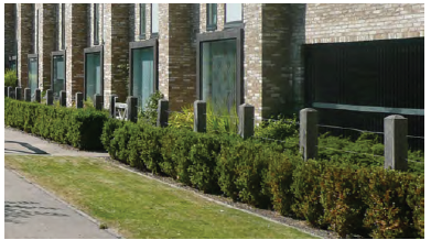 An image showing hedges used to separate a residential block from communal open space. 