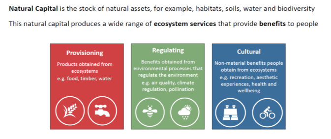 Natural Capital Infographic explained in paragraph 6.63